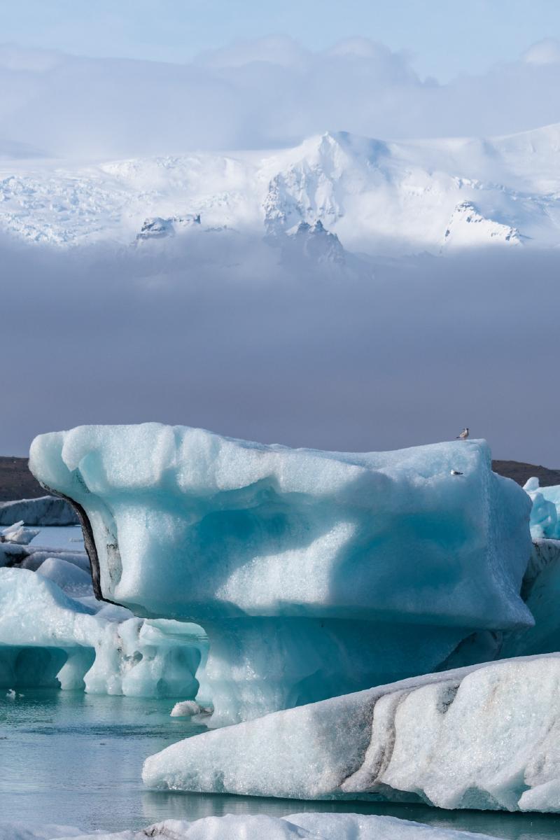 A large turquoise iceberg with two birds perched on top, floating in a glacial lagoon